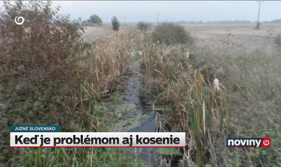 Keď je problémom aj kosenie