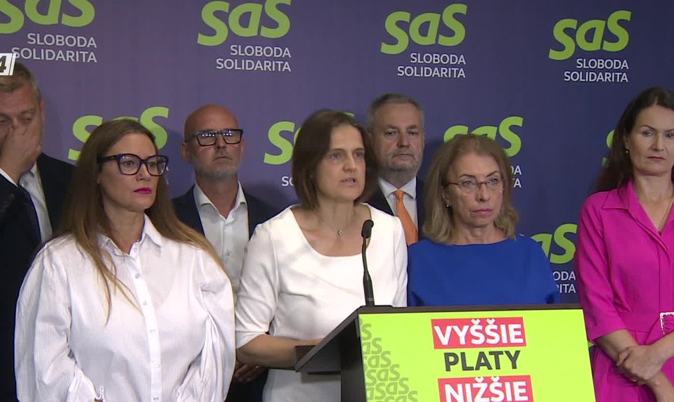 Tlačová beseda SaS k riešeniam na ochranu žien