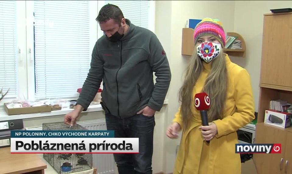 Pobláznená príroda