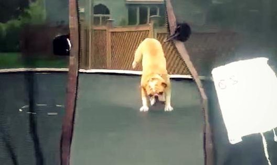 Traumatológovia: Úrazy detí na trampolínach sa množia.  Toto je 7 vecí, ktoré pri skákaní nedovoľte!