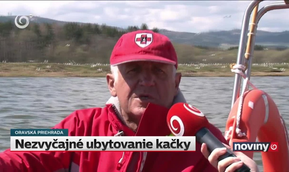Nezvyčajné ubytovanie kačky