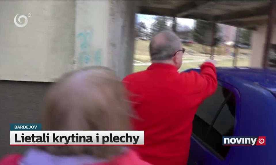 Lietali krytina i plechy