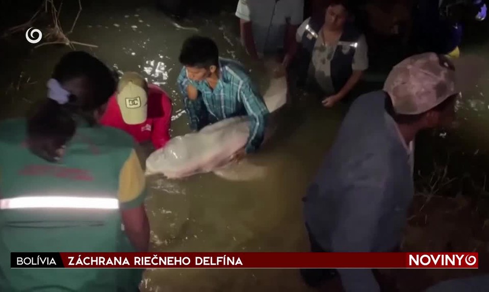 ZÁCHRANA RIEČNEHO DELFÍNA