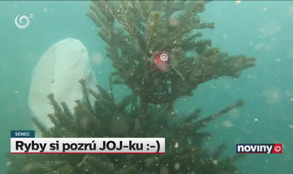 Ryby si pozrú JOJ-ku :-)