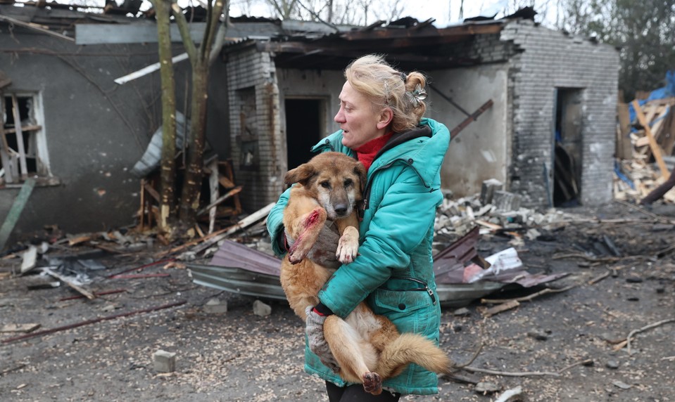 Rusi zasiahli psí útulok. Na mieste je mnoho mŕtvych zvierat