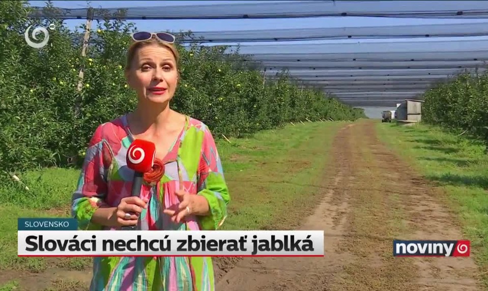 Slováci nechcú zbierať jablká