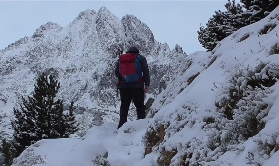 Vzácne lesy v ohrození: ochranári kritizujú novú zonáciu národných parkov