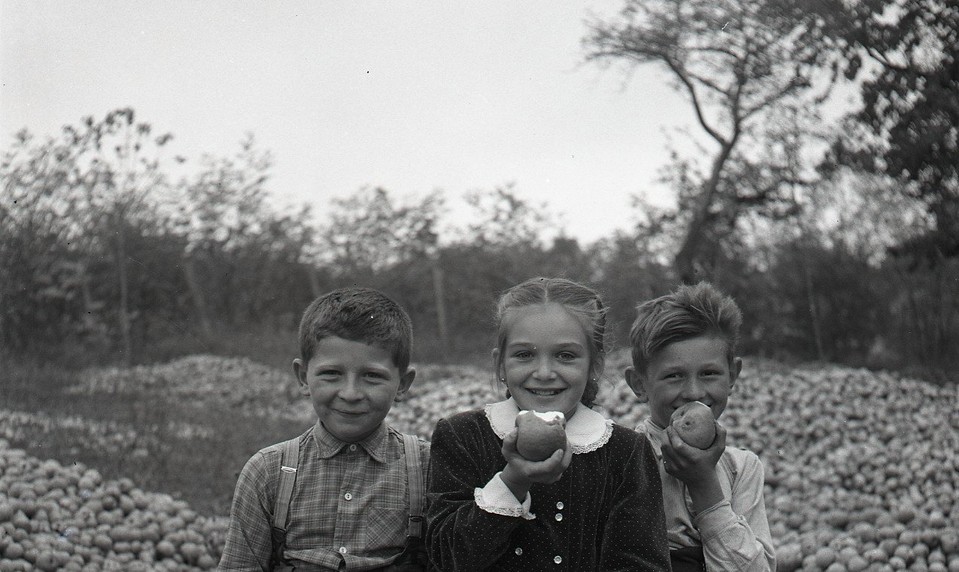 Ovocie s pamäťou krajiny: Prečo by sme nemali zabudnúť na staré odrody