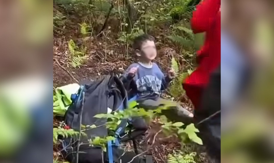 Chlapec (5) prežil tri dni v lese plnom medveďov. Záchranári hovoria o zázraku