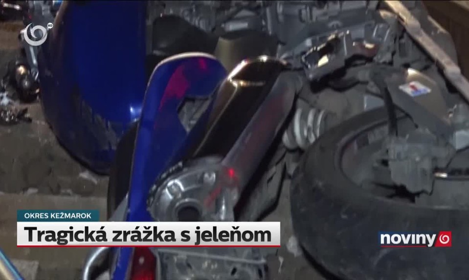 Tragická zrážka s jeleňom