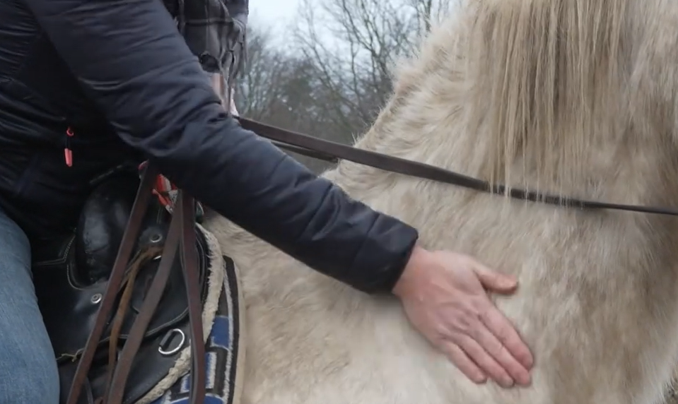 Konská turistika v Poloninách naráža na zákazy, riešením majú byť hipotrasy