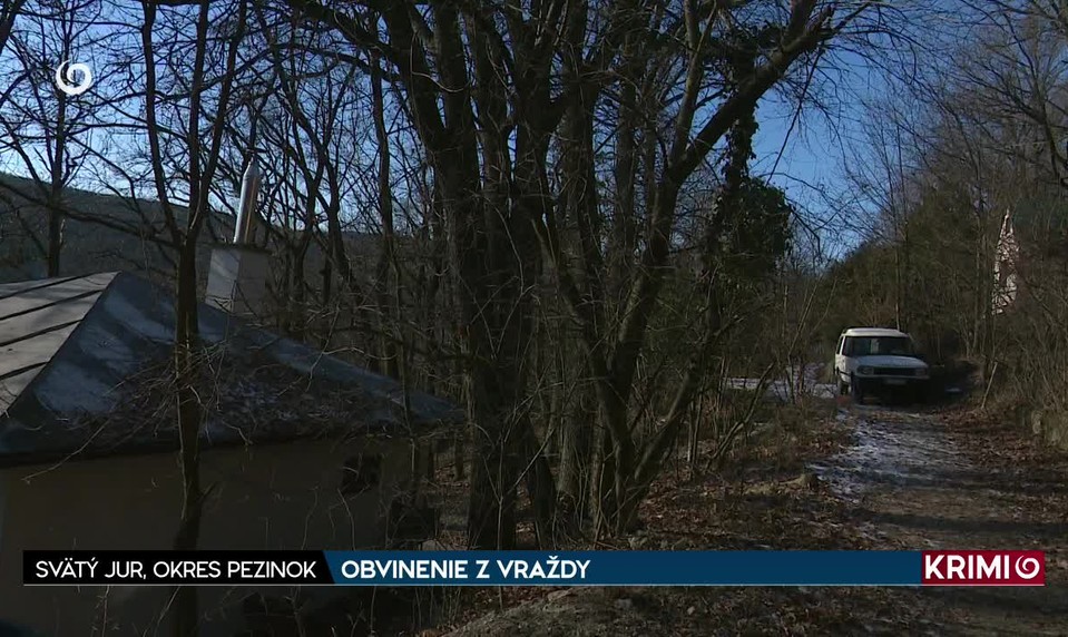OBVINENIE Z VRAŽDY