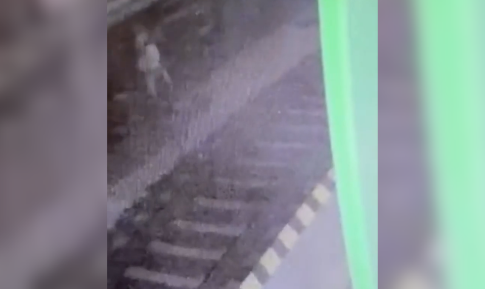 VIDEO: Stačil jeden krok do koľajiska. Muža na stanici v Trenčíne zrazil rušeň