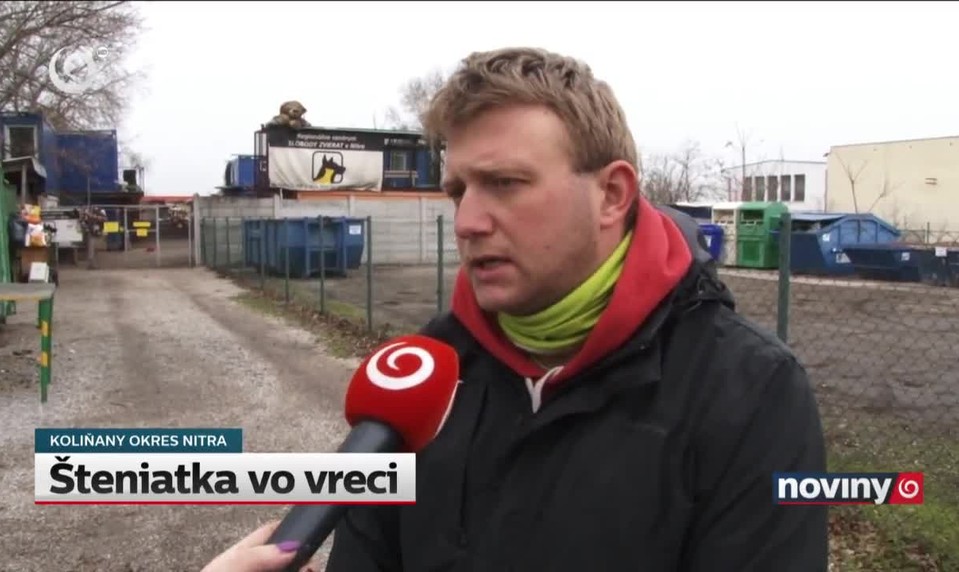 Šteniatka vo vreci