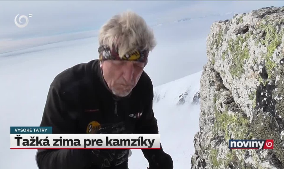 Ťažká zima pre kamzíky