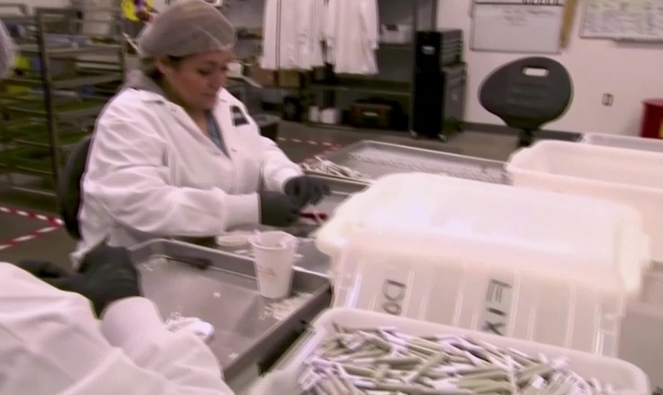 Donald Trump podpísal výkonné nariadenie s odporúčaním uvoľniť federálne predpisy ohľadne marihuany