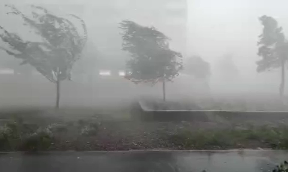 Stromy ako zápalky, po búrkach aj zranení, vietor takmer 120 km/h
