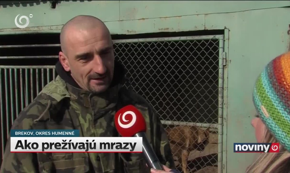Ako prežívajú mrazy