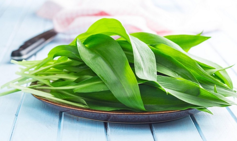 Chcete z medvedieho cesnaku vyskúšať niečo nové? Rýchle domáce gnocchi podľa Pyca budete milovať!