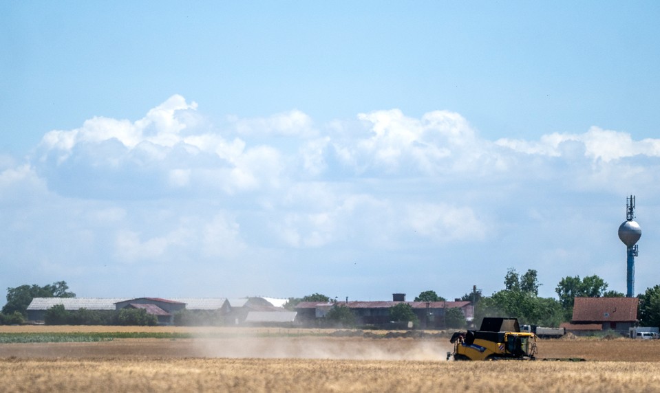 Kombajny vyšli extrémne skoro: Slovenskú úrodu zrazili sucho a horúčavy