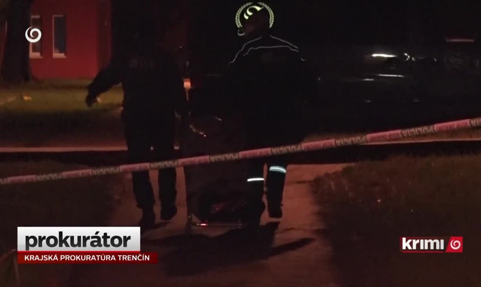 Vražda ako dôsledok týrania?