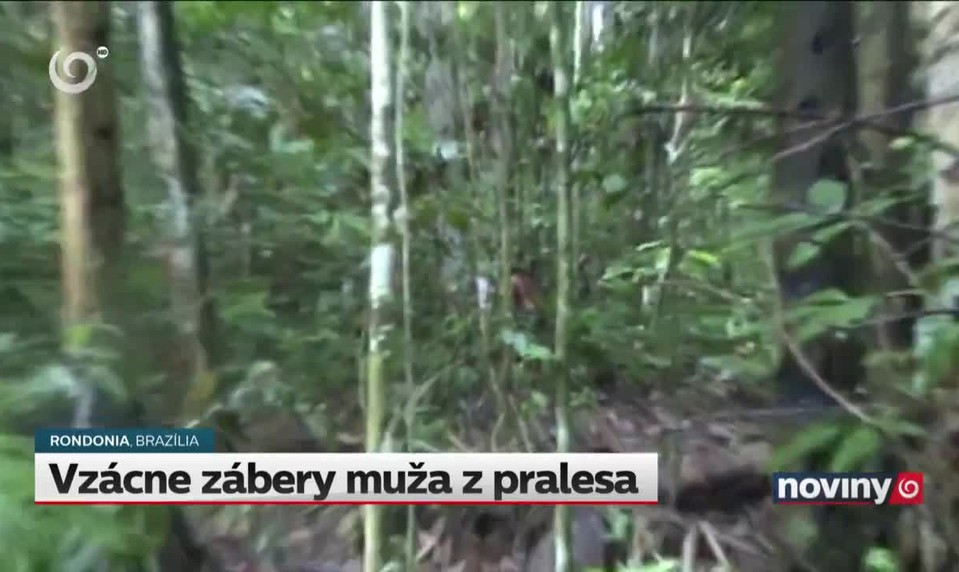 Vzácne zábery muža z pralesa