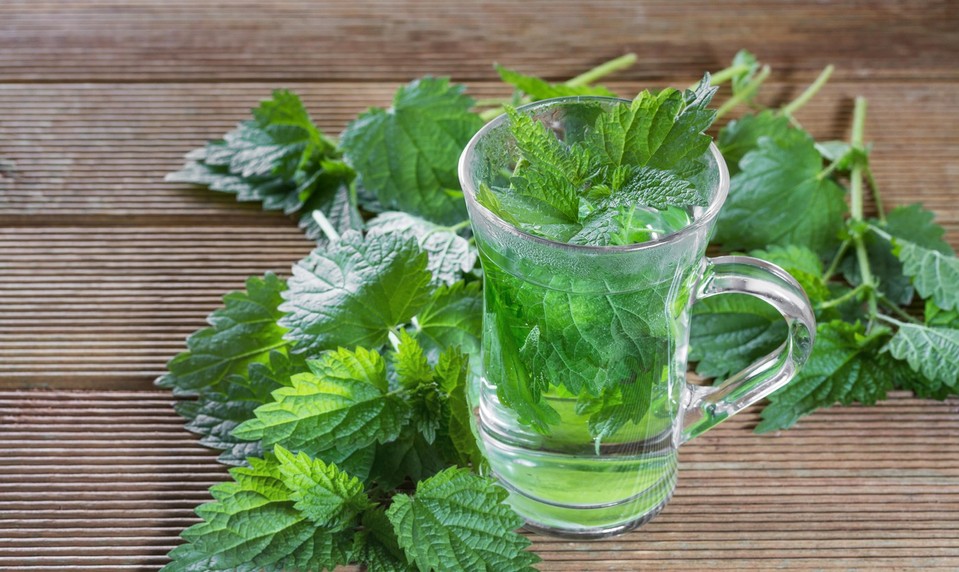 Kráľovná jarných byliniek: Lieči močové cesty, cukrovku aj vysoký cholesterol