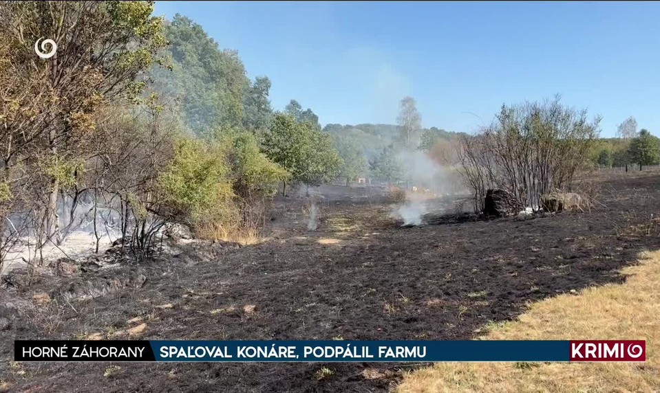 SPAĽOVAL KONÁRE, PODPÁLIL FARMU