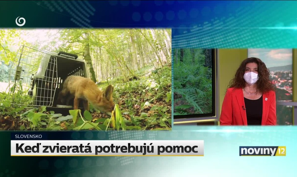 Keď zvieratá potrebujú pomoc