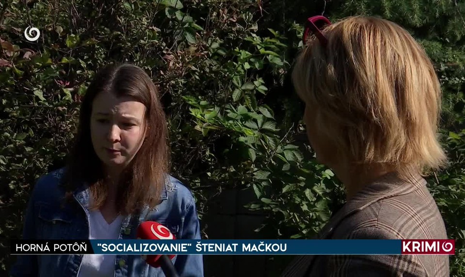 "SOCIALIZOVANIE" ŠTENIAT MAČKOU