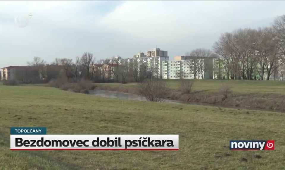 Bezdomovec dobil psíčkara