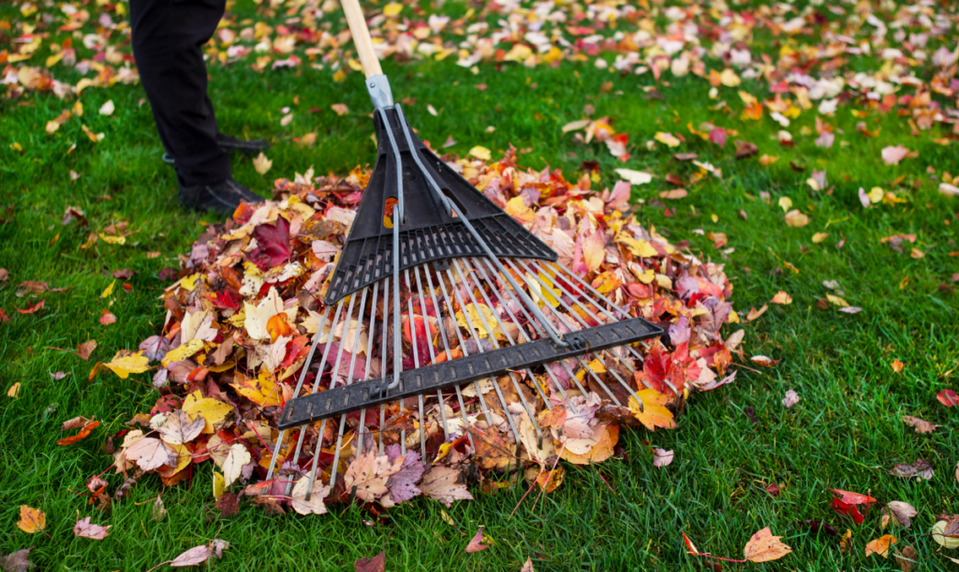 Poradíme, AKO pripraviť záhradu na zimu