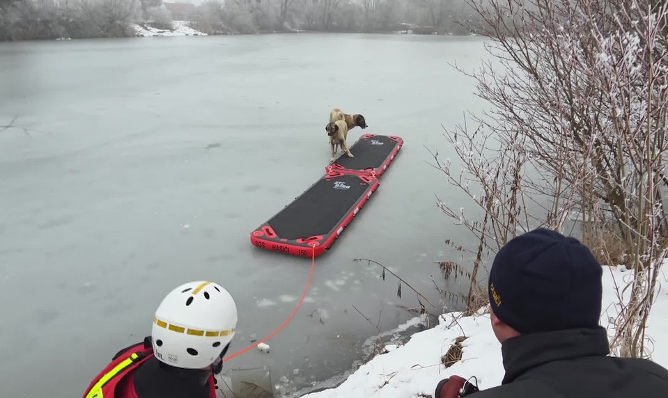 Dvojica psov uviazla na zamrznutom jazere: Z ľadovej pasce ich vyslobodili hasiči