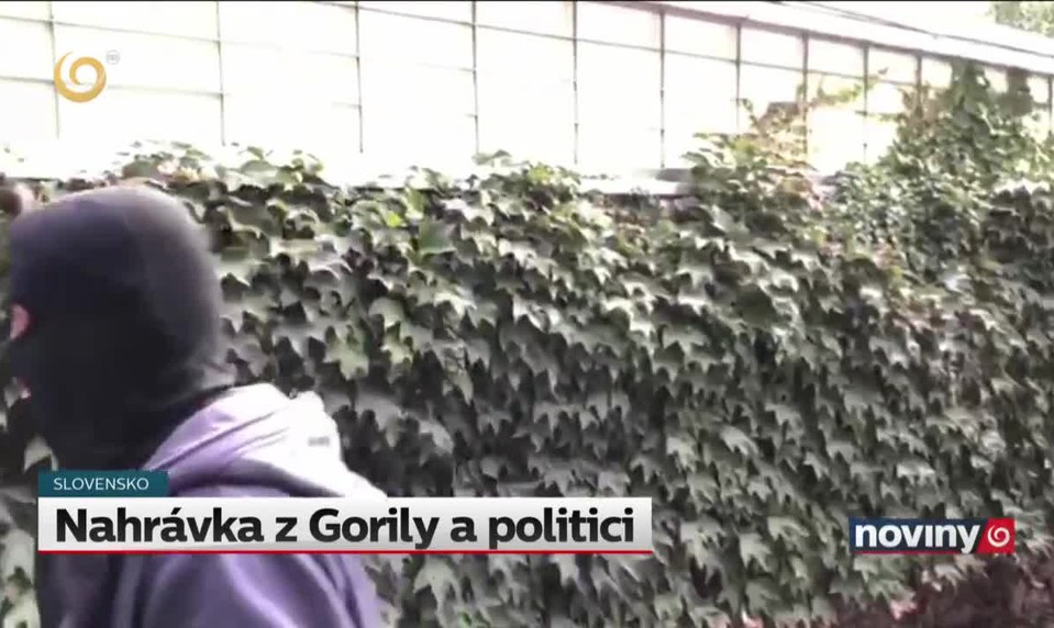 Nahrávka z Gorily a politici