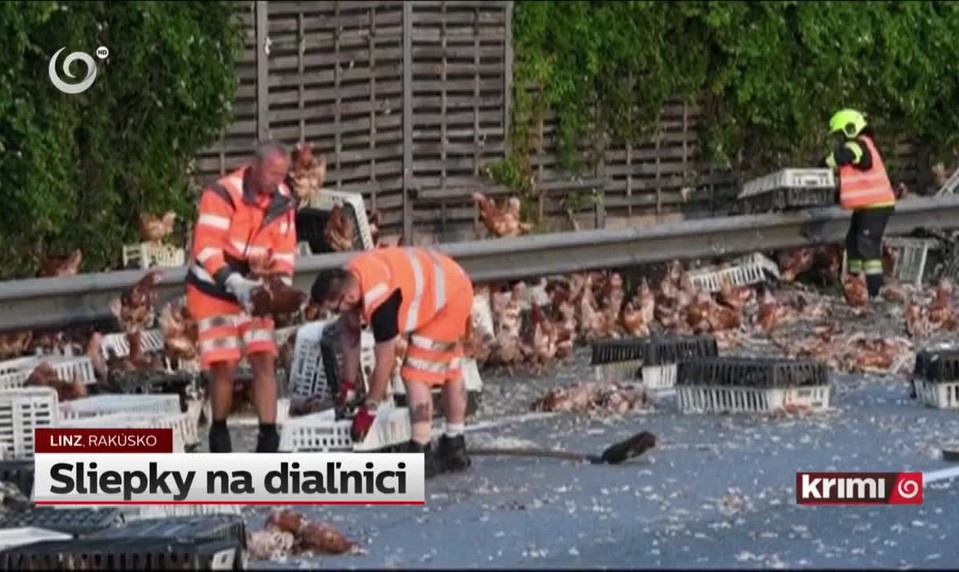 Sliepky na diaľnici