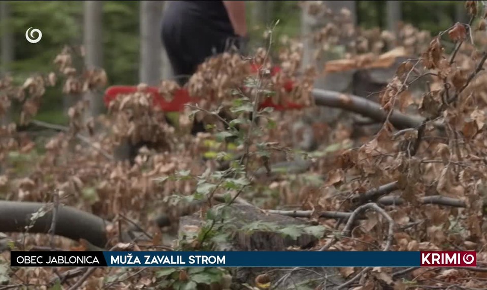 MUŽA ZAVALIL STROM