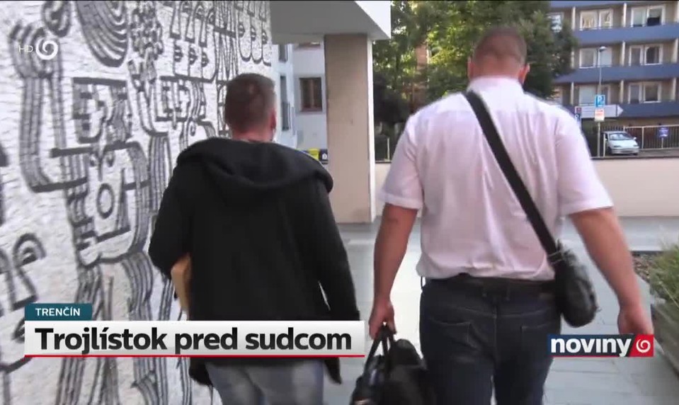 Trojlístok pred sudcom