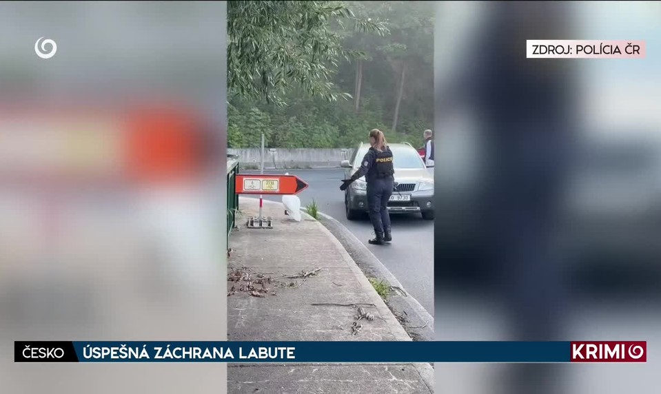 ÚSPEŠNÁ ZÁCHRANA LABUTE