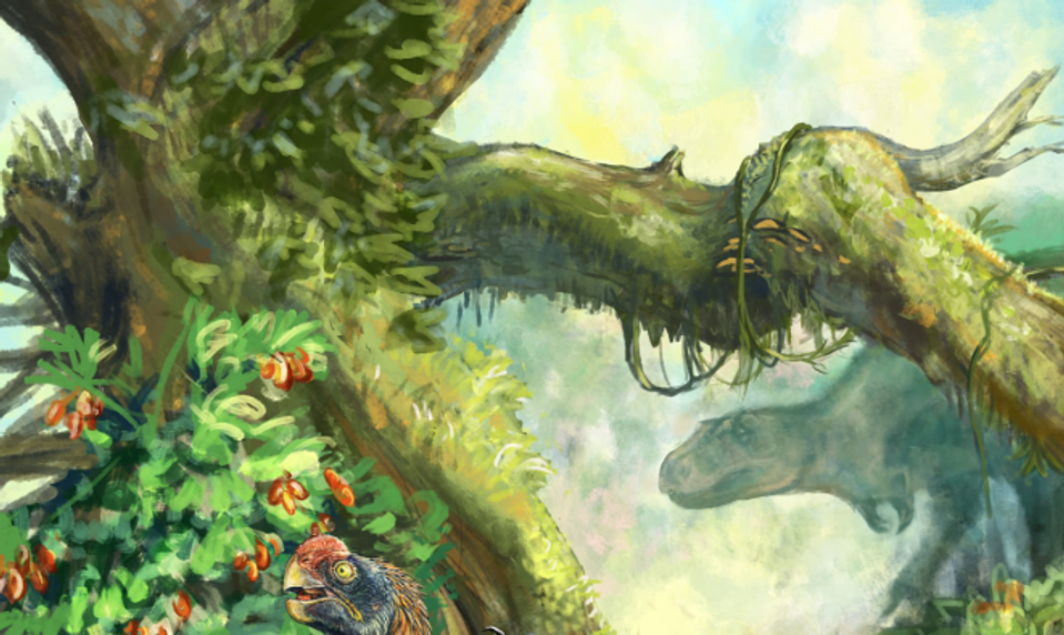 Vedci objavili nový druh dinosaura. „Pekelné kura“ sa živilo ovocím