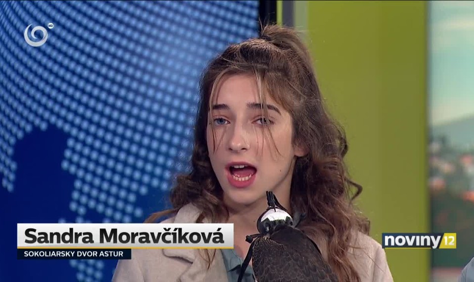 Hej, sokoly! ...Naživo