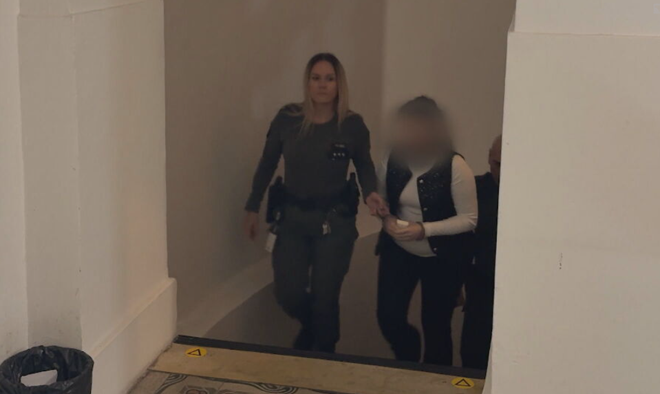 Na internete vyhľadávala informácie o tom, ako zabiť dieťa. Miriam čelí obžalobe za vraždu