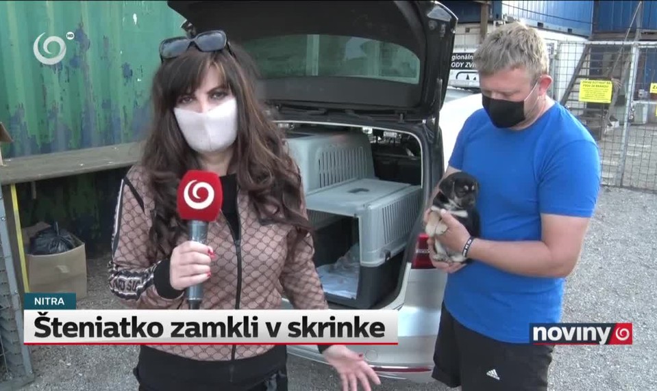 Šteniatko zamkli v skrinke
