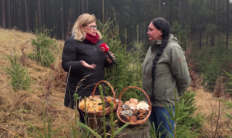 Zimné hubárčenie nie je mýtus: Plné košíky húb aj počas mrazivých dní