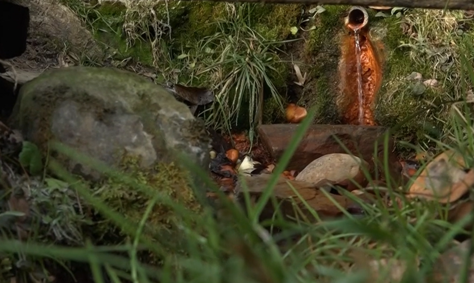 Obľúbené minerálne pramene pri Prešove už nespĺňajú normy pitnej vody