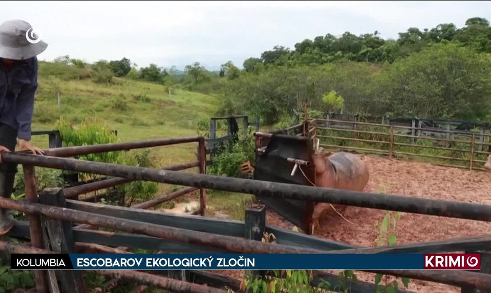 ESCOBAROV EKOLOGICKÝ ZLOČIN