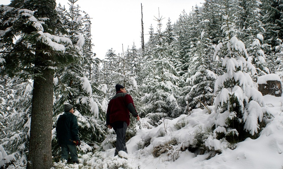 Hmla neustupuje, no prichádza zlom. Dočkáme sa bielych Vianoc?