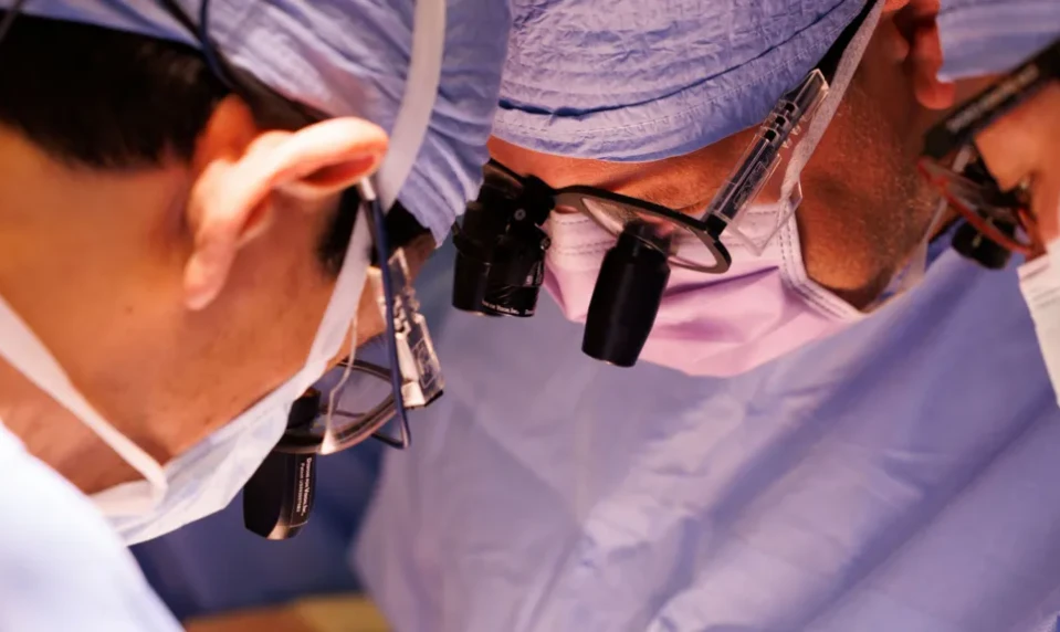 Rekord v xenotransplantácii: Prasacia oblička fungovala v tele muža 271 dní