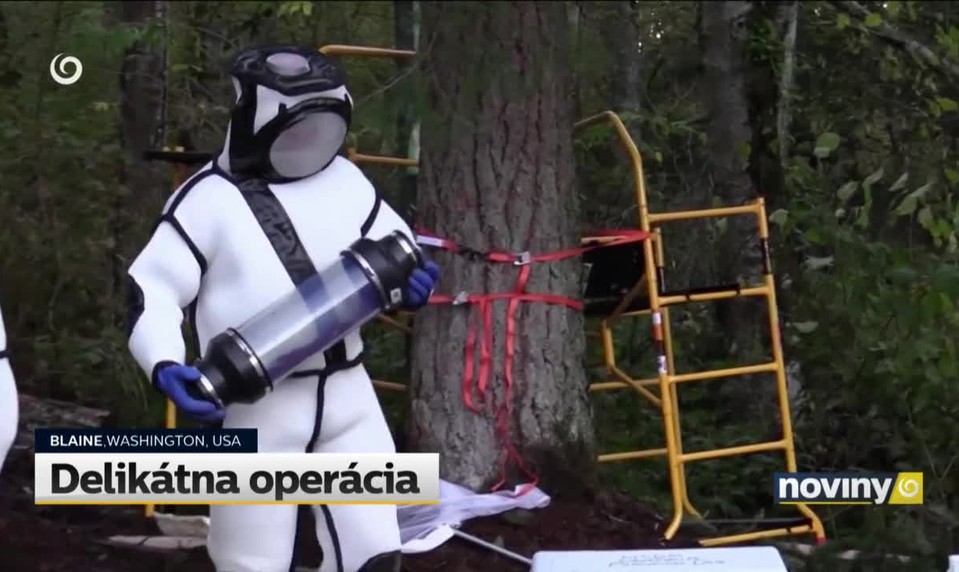 Delikátna operácia