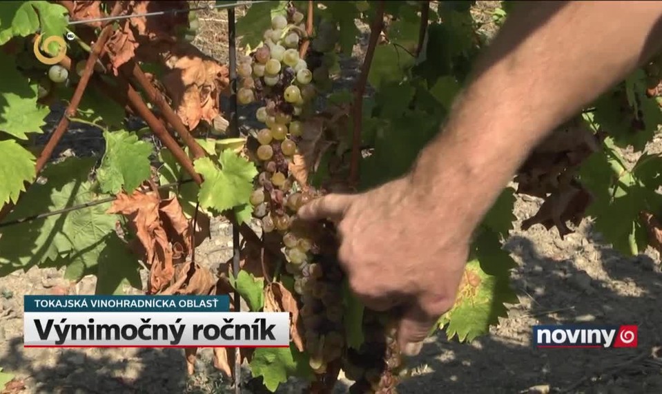 Výnimočný ročník