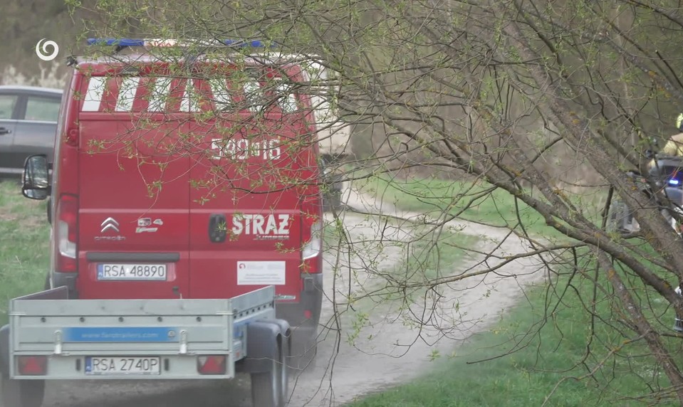 Tragédia pri slovenských hraniciach: Medveď zabil ženu (†58), syn počul jej krik